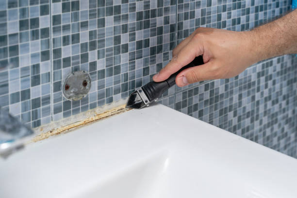 Best Professional Mold Removal  in Escondido, CA