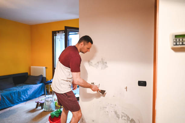 Attic Mold Removal in Escondido, CA
